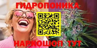 прущие грибы Заводоуковск