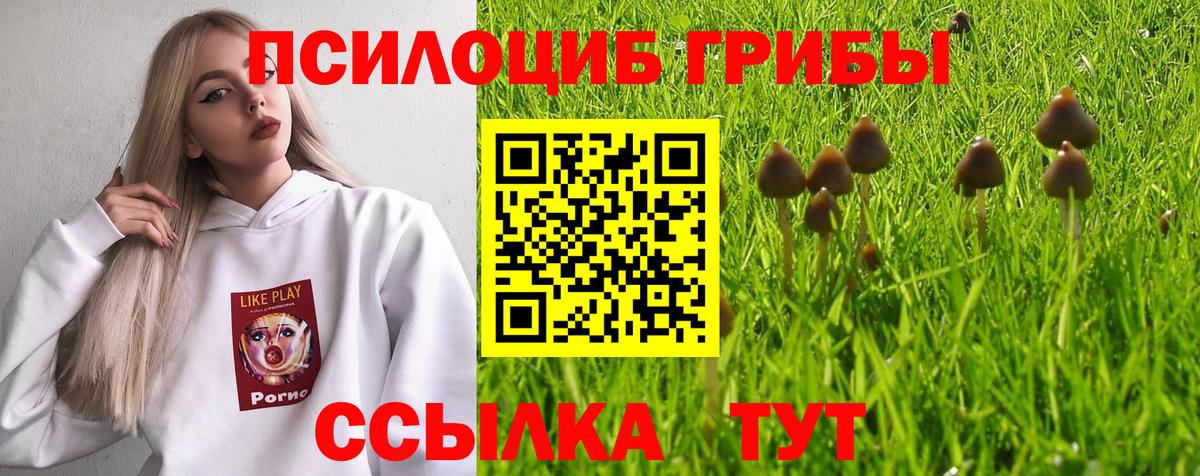 Псилоцибиновые грибы GOLDEN TEACHER Ноябрьск