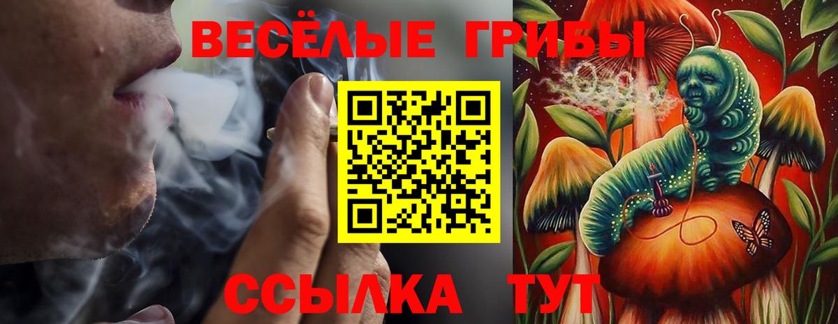 Ноябрьск  Галлюциногенные грибы ЛСД  Вход с VPN  Псилоцибиновые грибы Psilocybine cubensis 